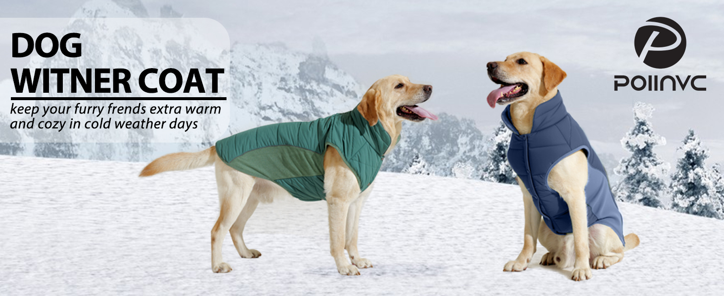 Водонепроникний собачий дощовик/куртка Poiinvc з отвором для шлейки, світловідбиваючий, теплий, для собак S-XXXL, зелений