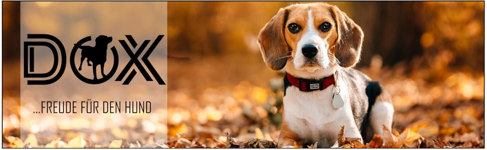 Шлейка для собак DDOXX Nylon Step-In, світловідбиваюча, регульована, анти-вислизання | для маленьких та великих собак, котів, цуценят | для авто | помаранчевий, розмір M