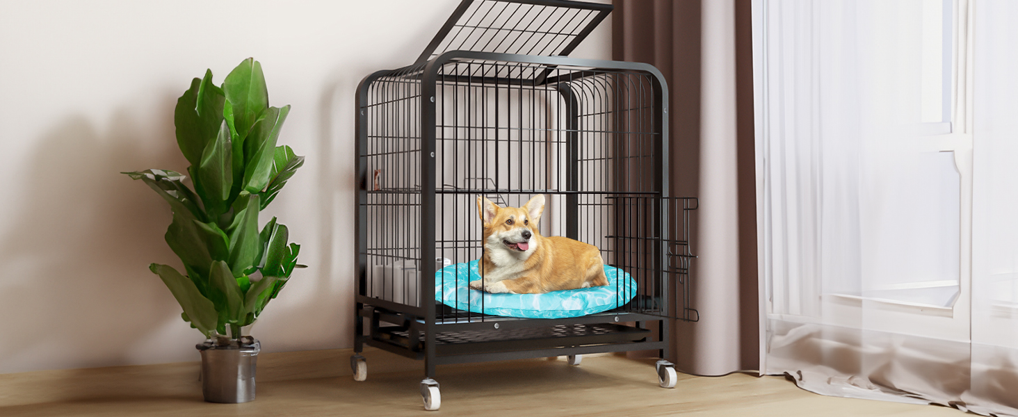 Кühlmatte Hunde Katzen Orbicular: Охолоджуючий килимок для собак та котів, розмір M, 72x72x5 см