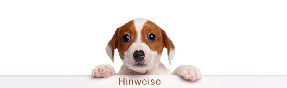 Складана переносна переносна коробка для собак та котів. Транспортна сумка для авто та авіаперельотів. Рюкзак для тварин, сірий та техно-зелений.