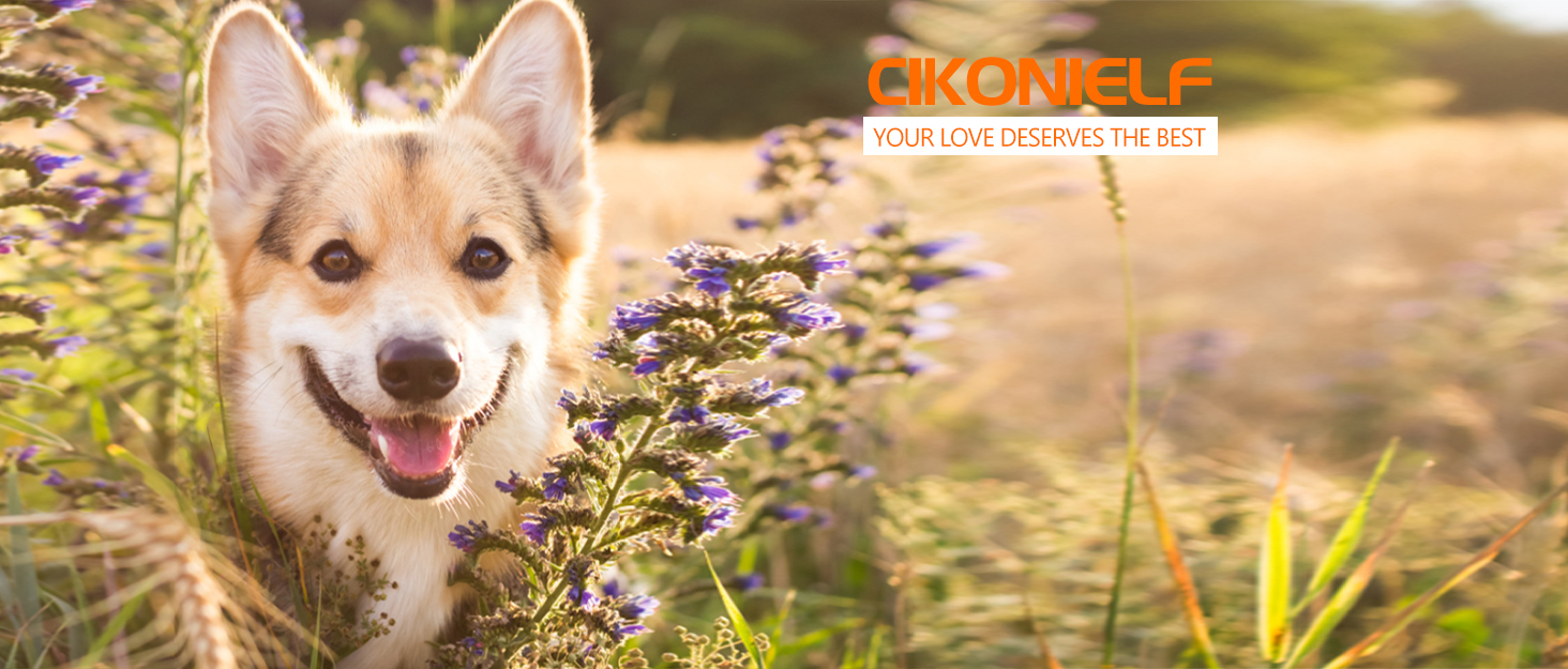 Щітка для собак самоочисна, для котів, видалення шерсті, швидке очищення, для довгої та короткої шерсті