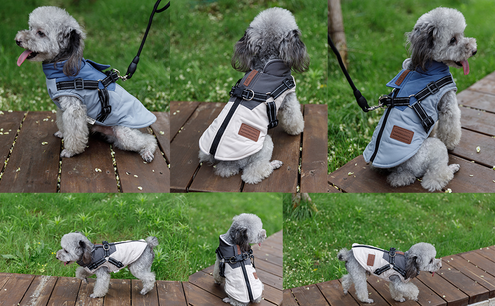 Водонепроникний теплий зимовий одяг для собак: куртка, жилет, плащ для маленьких та середніх порід, зелений