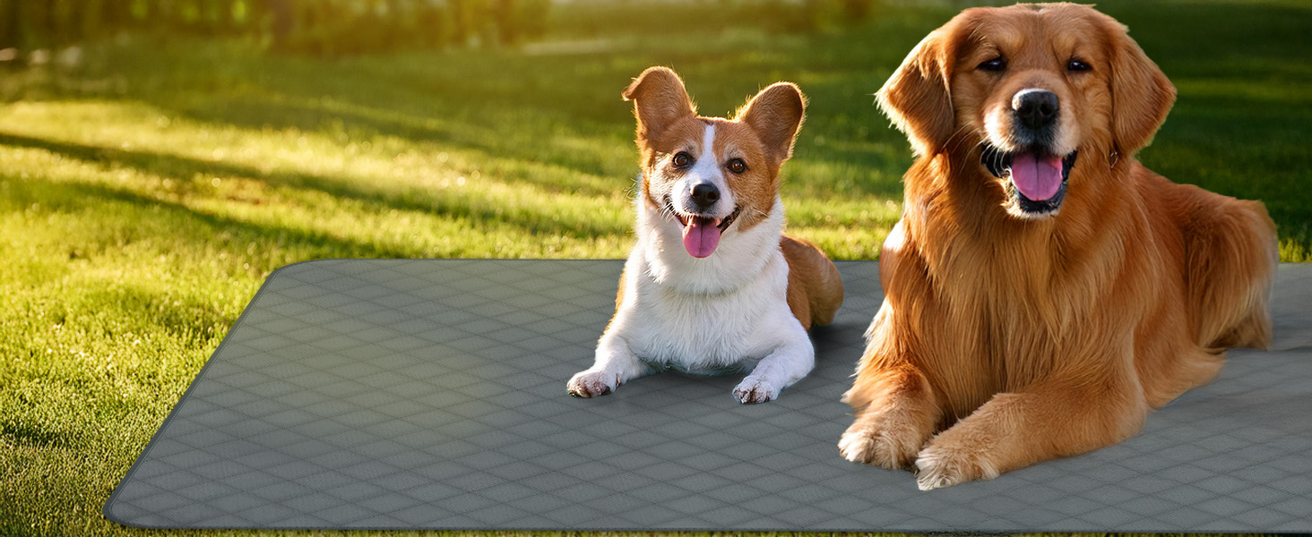 Водонепроникний коврик для собак Nobleza, захист дивану та ліжка, для подорожей, 178 x 76 см, сірий