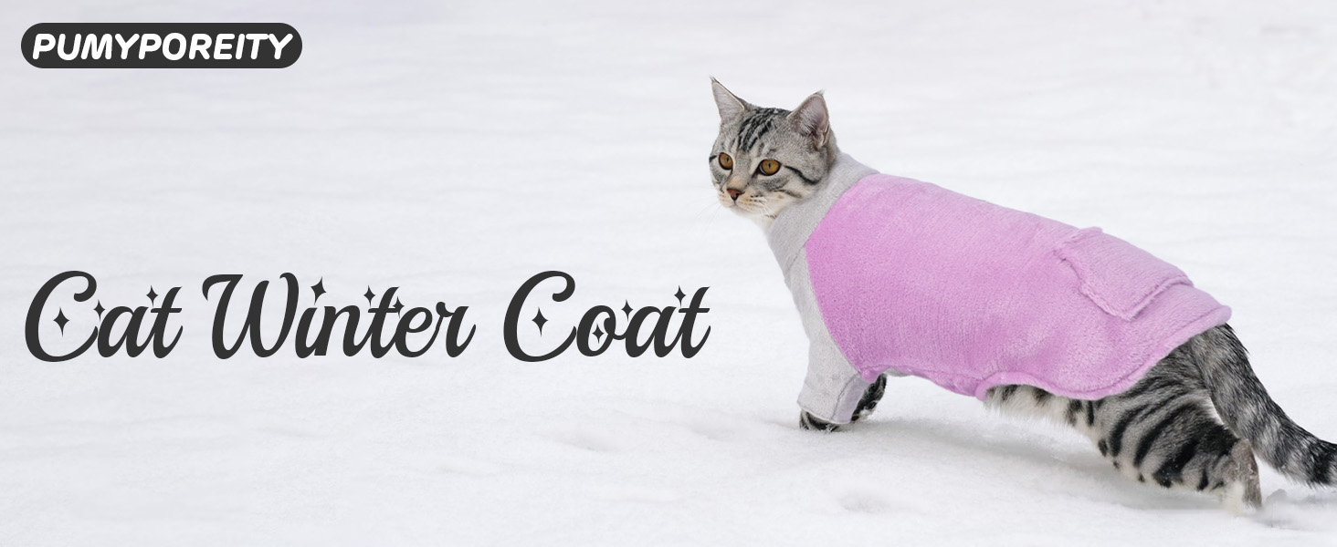 Теплий зимовий пуловер для котів Sphynx, фіолетовий, Roa (M)