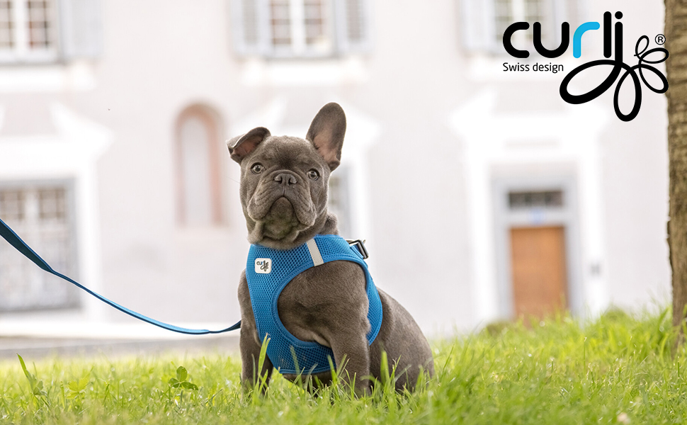 Шлейка-жилетка Vest Harness Air-Mesh чорна 2XS для собак
