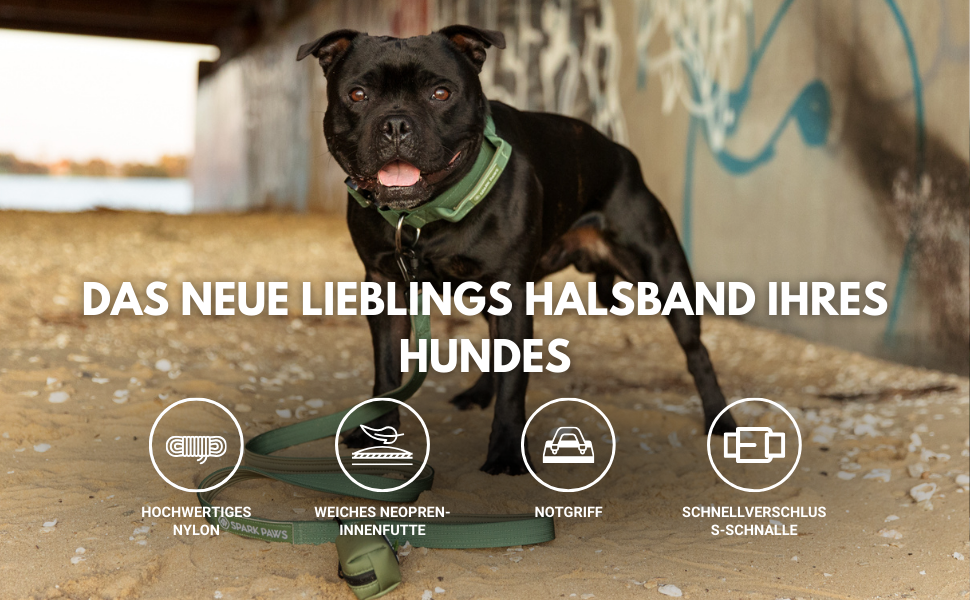 Тактичний нашийник для собак Spark Paws, армейський зелений, L, 5 см – міцний, преміум-якість, для великих і середніх порід