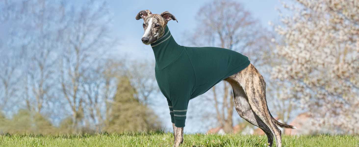 Светр для грейхаунда, теплий костюм для віндхаунда, костюм з високим коміром для маленьких собак, блакитний, розмір M