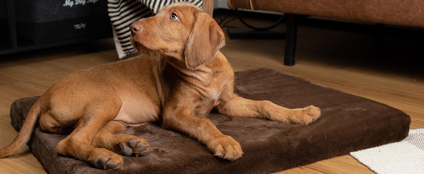 TrendPet VitaMedog - Віскоеластичний матрац для собак, коричневий (50x35 см)