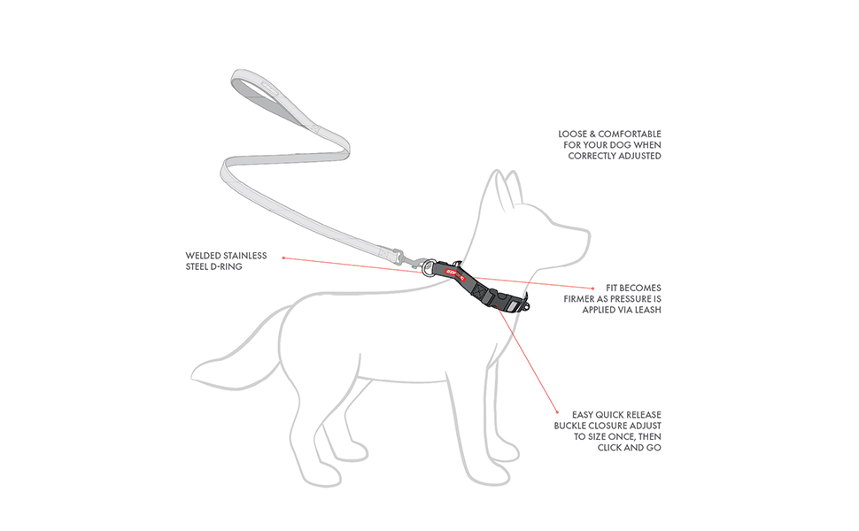 Нашийник EzyDog Checkmate для собак - нашийник-перетягувач, навчальний, для великих, середніх та малих порід (червоний, S)
