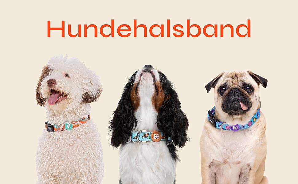 Нашийник для собак DUKIER, регульований, з неопрену, міцний, дизайн New York, розмір XS