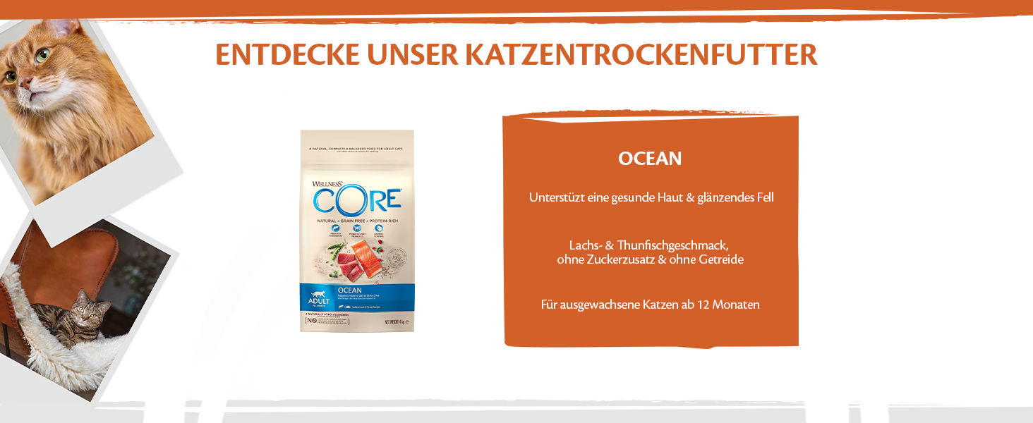 Сухий корм для котів Wellness CORE Original з куркою та індиком, 4 кг