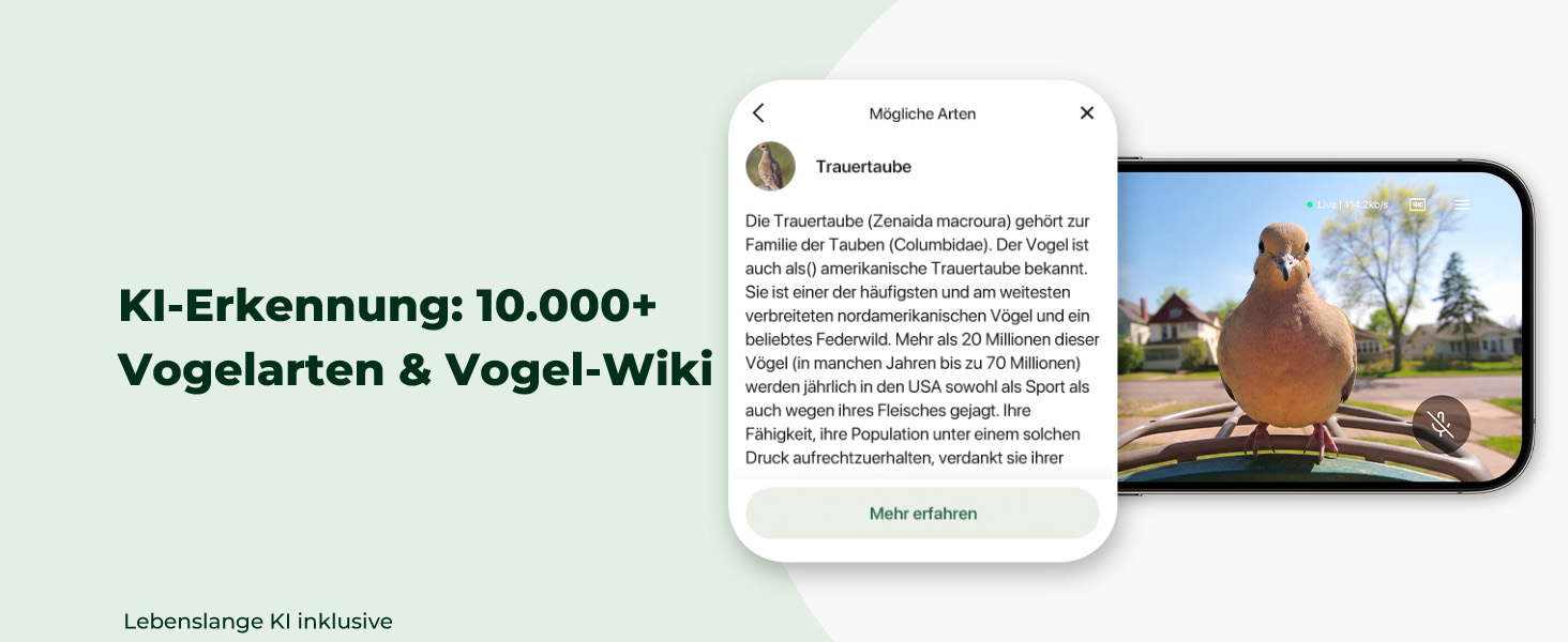 Розумний будиночок для птахів Kiwibit з 4K камерою, ШІ-розпізнаванням та сонячною панеллю (Коричневий, без підписки)