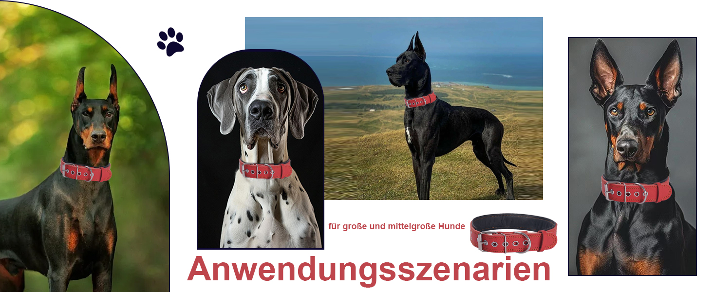 Нашийник для собак з натуральної шкіри, XL, червоний. Товстий, м'який, 5 см, для середніх та великих порід