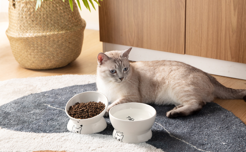 Набір мисок для котів SWEEJAR: підняті годівниця та поїлка, 2 шт (білий)