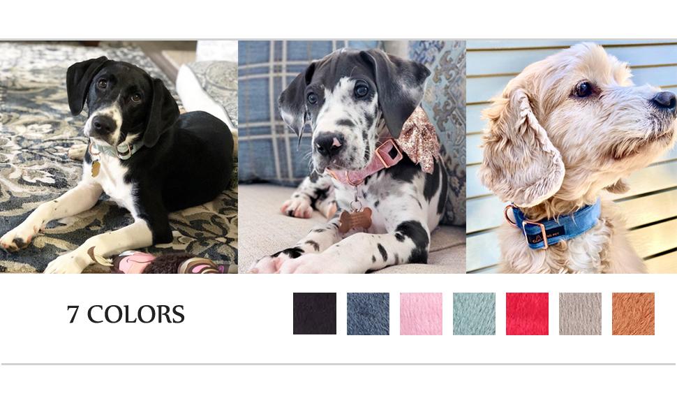 Набір повідка та нашийника для собак Aring Pet, оксамитовий нашийник та повідок, регульований для маленьких, середніх та великих собак, блакитний