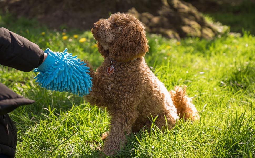Очисник лап для собак PeppyPup, маленький з ручкою – мийка лап для собак, мікрофібровий рукавичка для сушіння, для собак малих порід (Бігль, Тер'єр)
