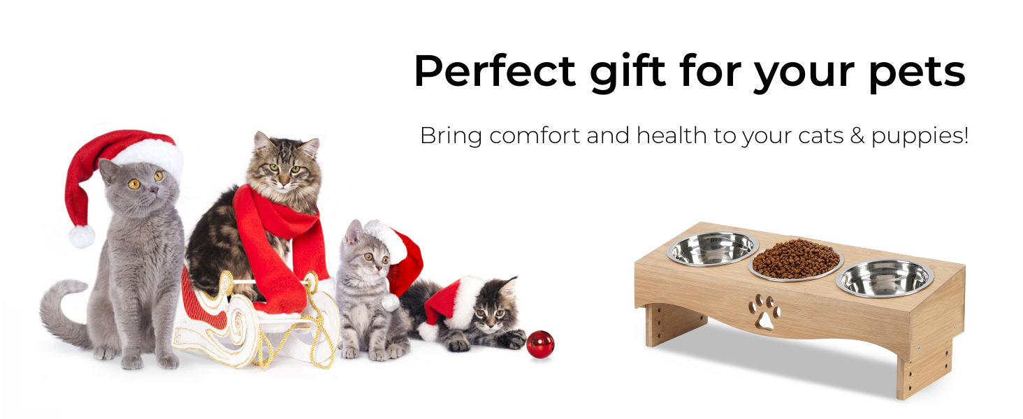 Набір мисок для котів JUJOYBD 3 шт. - підняті миски з нержавіючої сталі, кут нахилу 15°, ергономічна станція для годування котів та маленьких собак