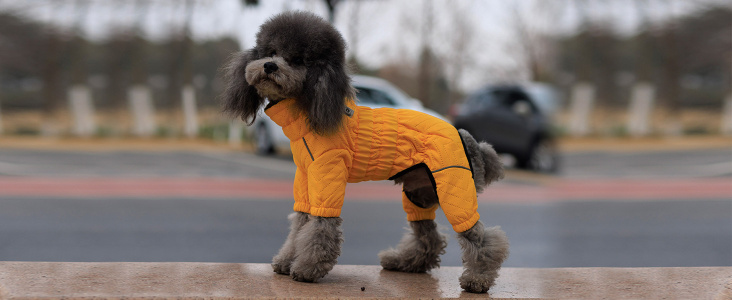 Теплий зимовий одяг для собак: двошагова жилетка, непромокаєма, вітронепроникна, з відбиваючими елементами. Підходить для малих, середніх та великих собак. Сірий XXL 2XL (back 19')