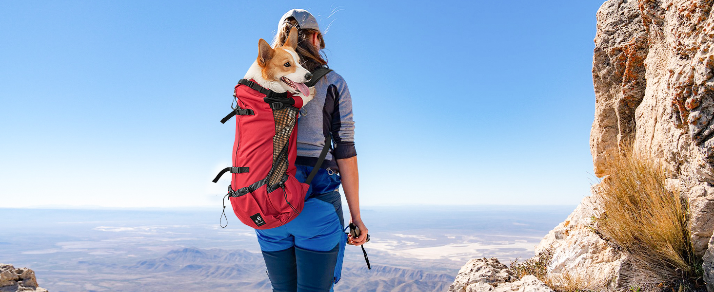 Рюкзак-переноска для собак Galatée, регульований, з вентиляцією, для походів, трекінгу та подорожей (S, чорний)
