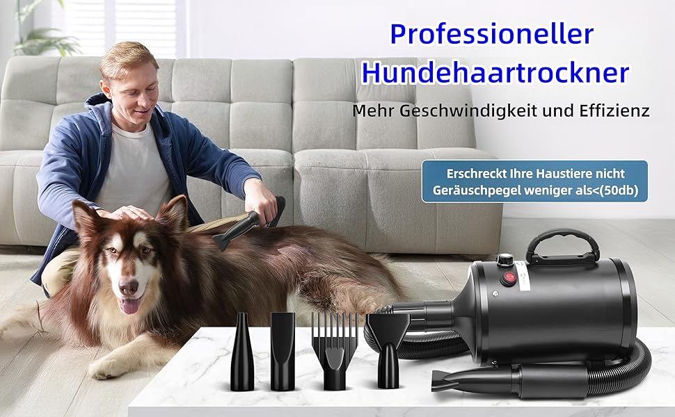 Фен для собак, 2800W, регулювання швидкості та температури, тихий, 4 насадки, для професійного та домашнього використання (Чорний)