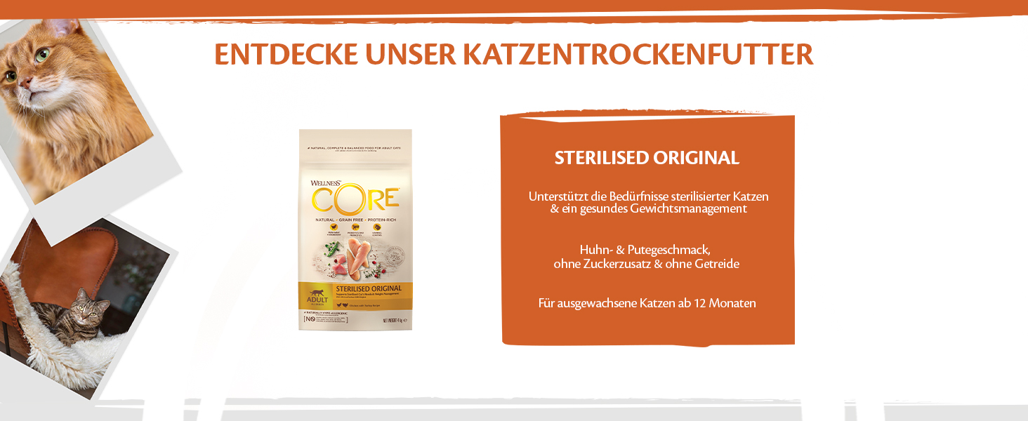 Сухий корм для котів Wellness CORE Original з куркою та індиком, 4 кг