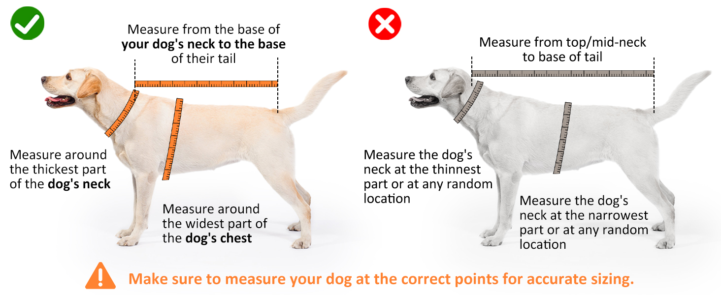 Рушник для собак Hezzuv: ультрапоглинаючий, з мікрофібри, для сушіння після снігу, м'який, двошаровий, для цуценят та дорослих, синій (S)