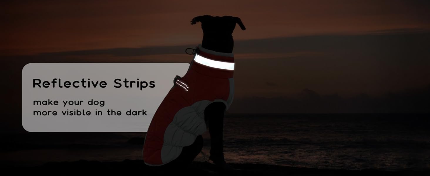 Водонепроникний зимовий теплий одяг для собак: куртка, жилет, пуховик, светр з кільцями D (червоний, 2XL) XXL Червоний