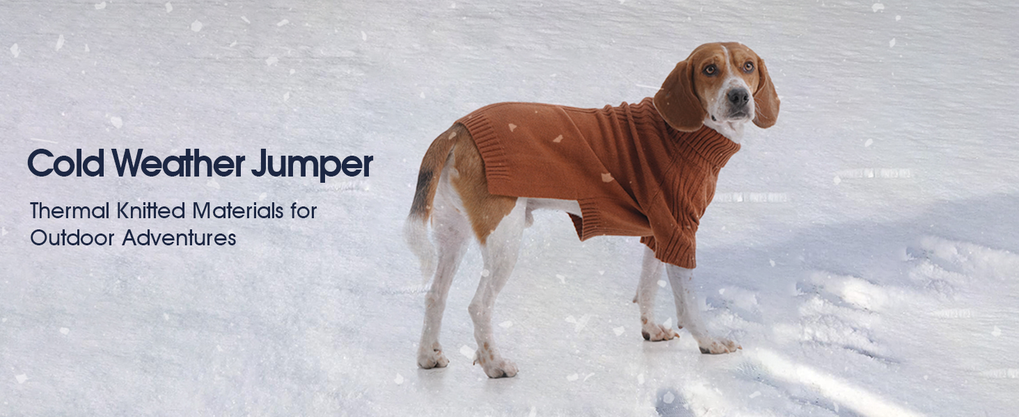 Зелений теплий зимовий пуловер для собак IECOii, великий розмір (XX-Large), для чихуахуа, бульдога, лабрадора