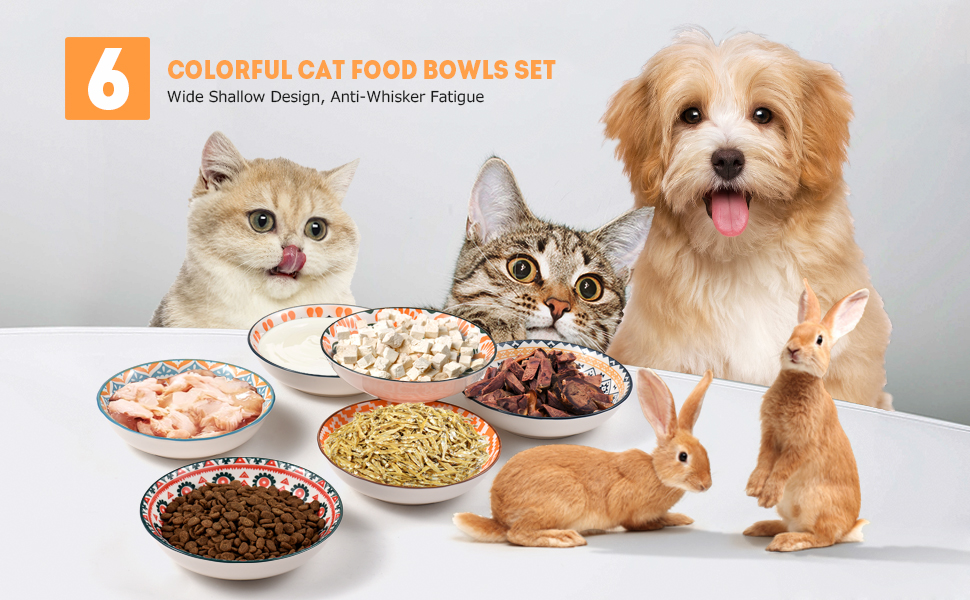 Набір мисок для котів (6 шт.) з кераміки: миски для корму, годівниці, мисочки для води