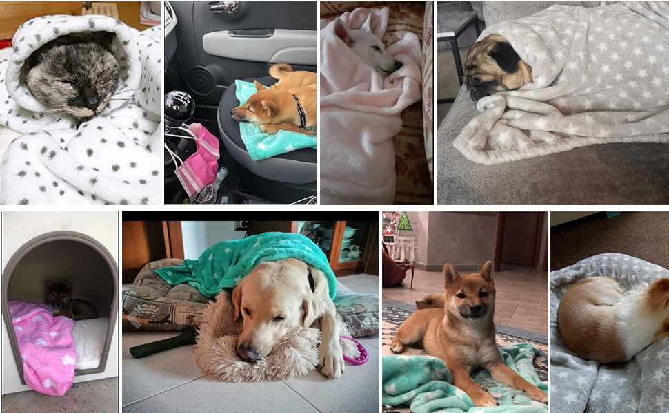 М'яка флісова ковдра для собак та котів LeerKing 2 шт. (75x100 см) рожево-зелена