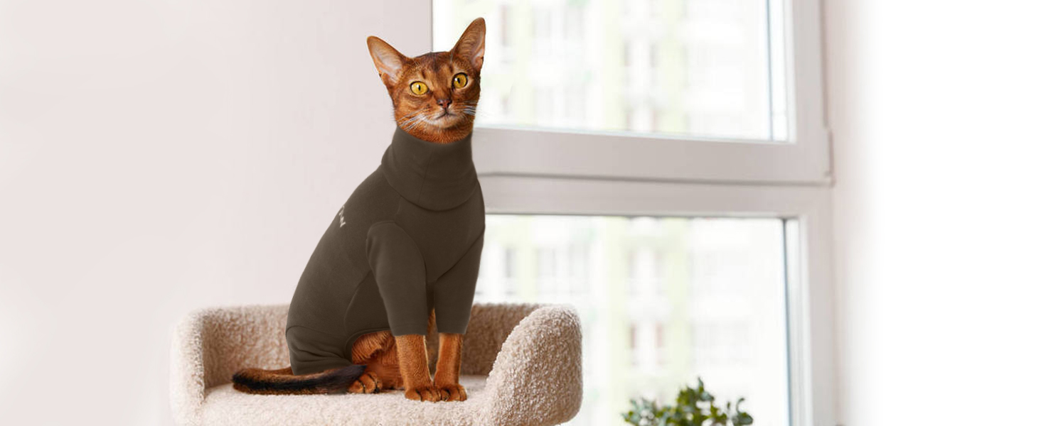 Одяг для котів, пуловер для Sphynx, Cornish Rex, Devon Rex, Peterbal (темно-коричневий, L)