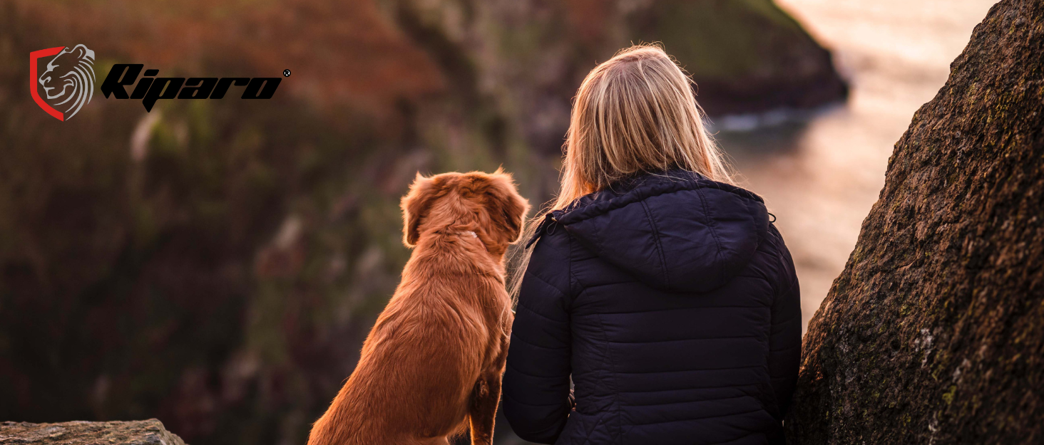 Нашийник для собак Riparo з екошкіри, регульований, посилений, чорно-червоний, L