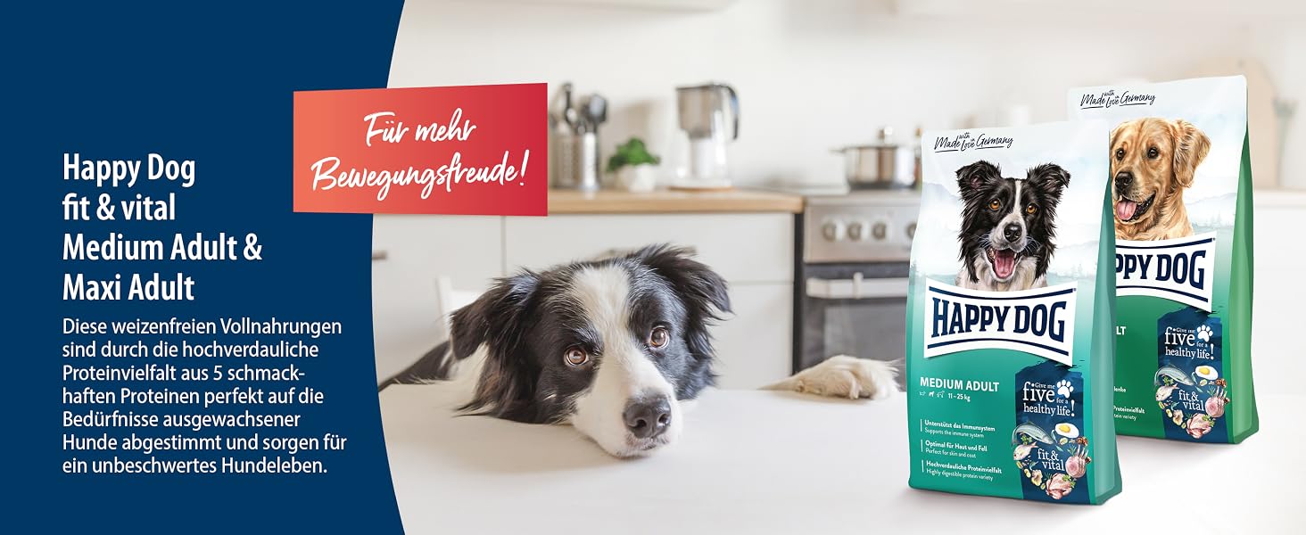 Корм для собак Happy Dog fit & vital Light з лососем, морською рибою, птицею та ягням, низькокалорійний, 4 кг