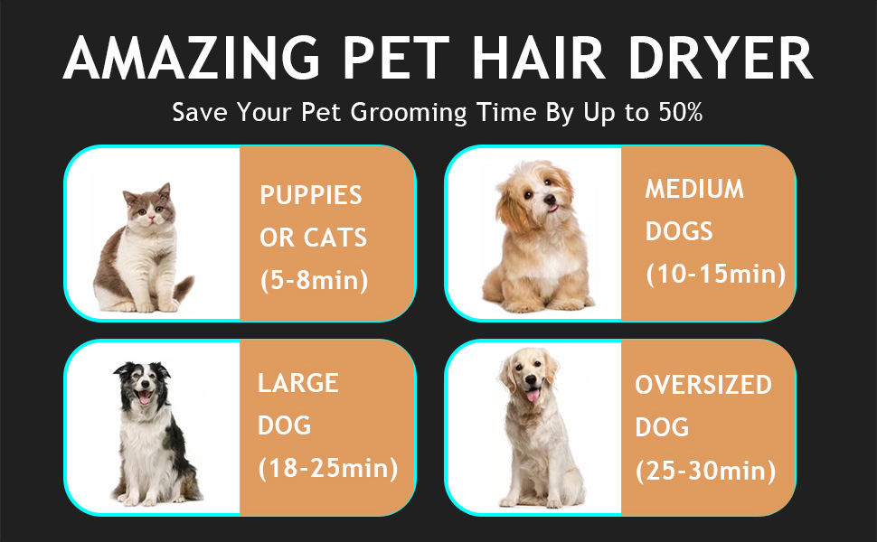 Фен для собак Blower - тихий, 4.5 PS / 3200W, регульована швидкість, 4 насадки, шланг, щітка (чорний)