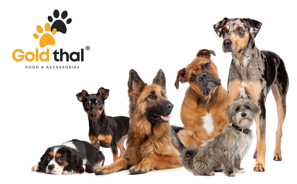 Goldthal® Оригінальний рукавичка для миття лап собак з мікрофібри. Без брудних лап для великих та маленьких собак