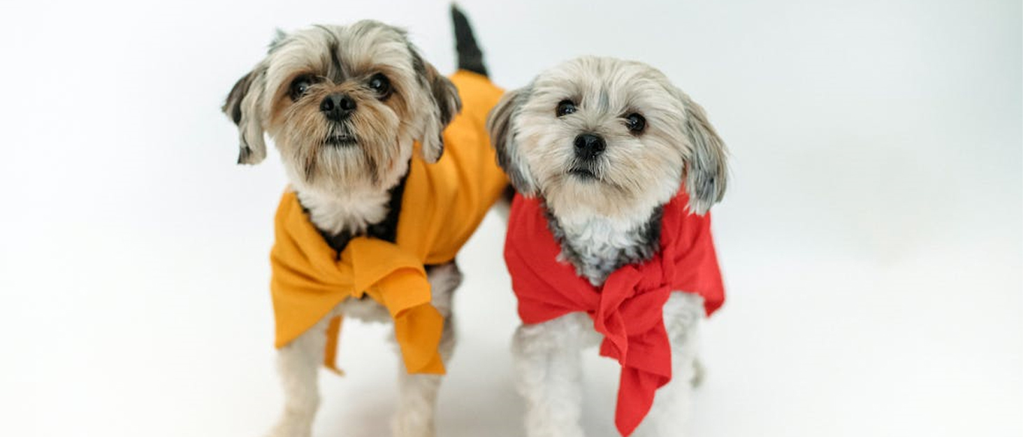 Флісовий зимовий костюм для собак, теплий, сірий, розмір S | Зимовий костюм для собак