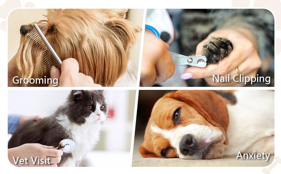 Силіконові килимки для котів та собак Bau+Grün-US (чорний+жовтий, S) - уповільнена годівля, 60 присосок