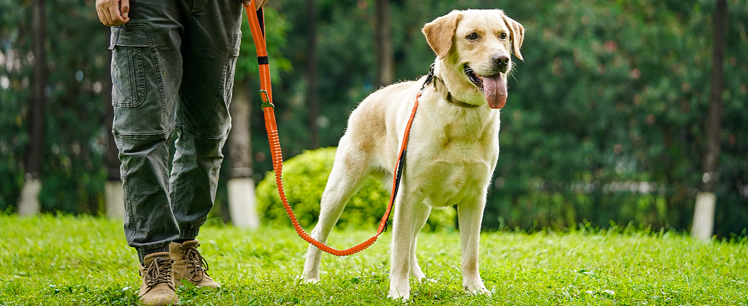 Тактична повідок для собак Joytale, 1.2м-1.8м, еластична (bungee), з 2 м'якими ручками, автофіксатор, без натягу для собак середніх, великих та екстра-великих порід, помаранчевий колір