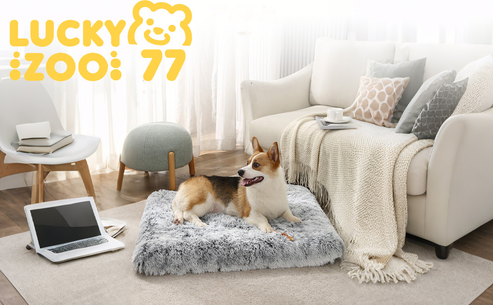 М'яке ліжко для собак середніх порід та котів, 75 x 50 x 8 см, плюшеве, миюче, сірий омбре