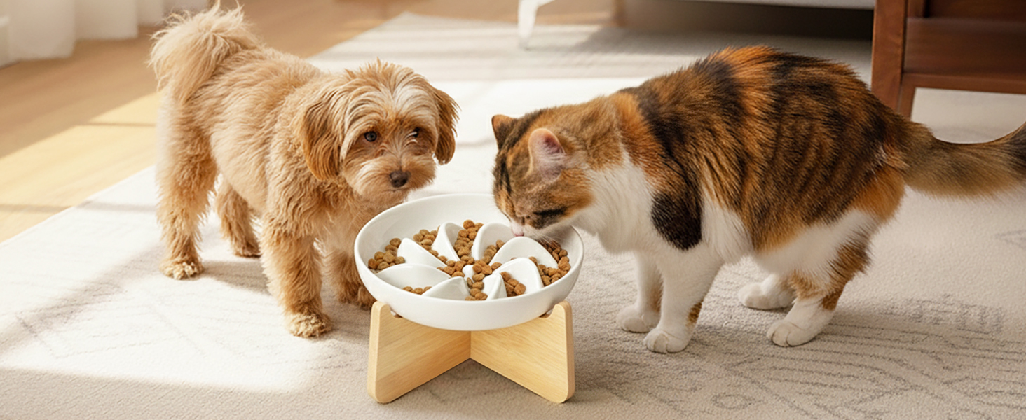 PETTOM Миска для котів протиковзаюча піднята, керамічна миска для котів, повільна годівниця для котів, миска протиковзання для котів та маленьких собак, біла миска + підставка (миска біла-квітка + підставка)