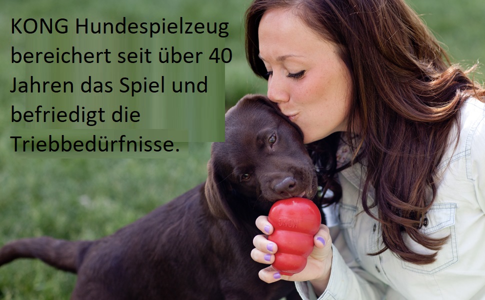 KONG ZoomGroom - щітка для грумінгу та миття собак, великі породи (червона)