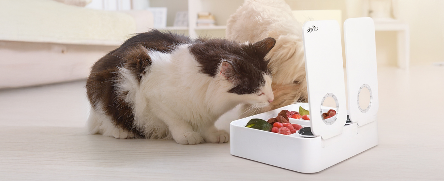 Автоматичний диспенсер для котячого корму ALL FOR PAWS: 2 порції, підходить для сухого та вологого корму, з таймером на 48 годин, миється в посудомийній машині