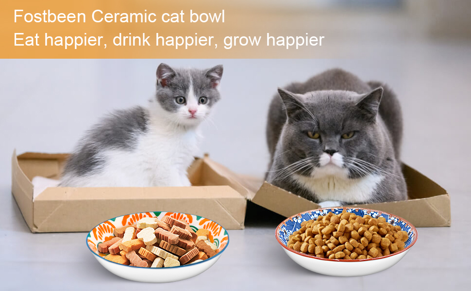 Набори керамічних мисок для котів FOSTBEEN (8 шт.), для корму та води, без втоми вусів, підходять для кошенят