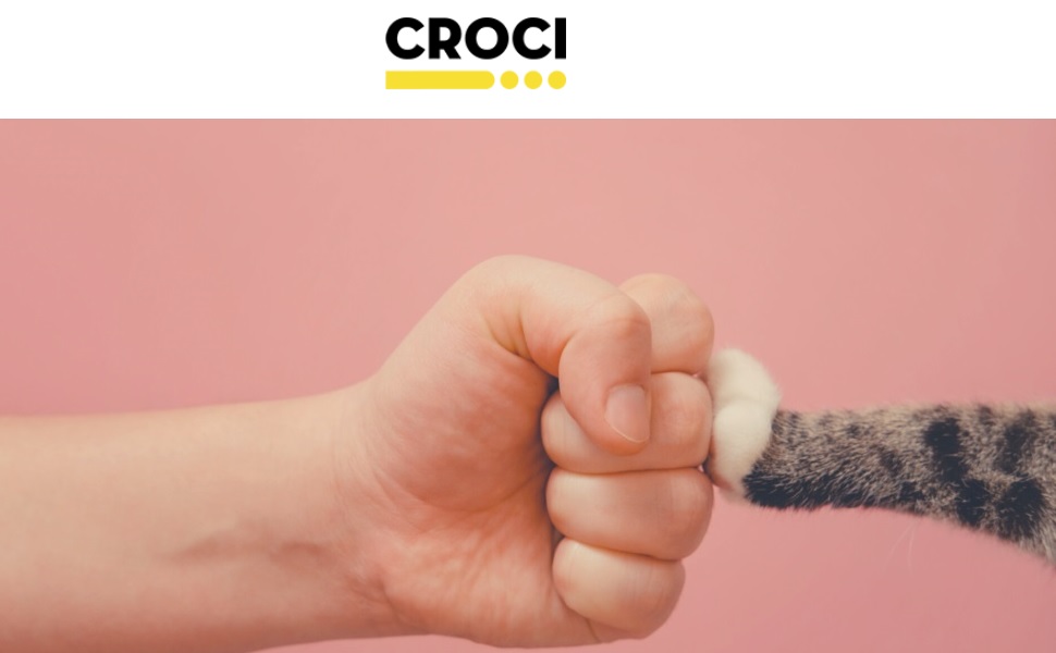 Спасальний жилет для собак Croci C6020097, 45 см