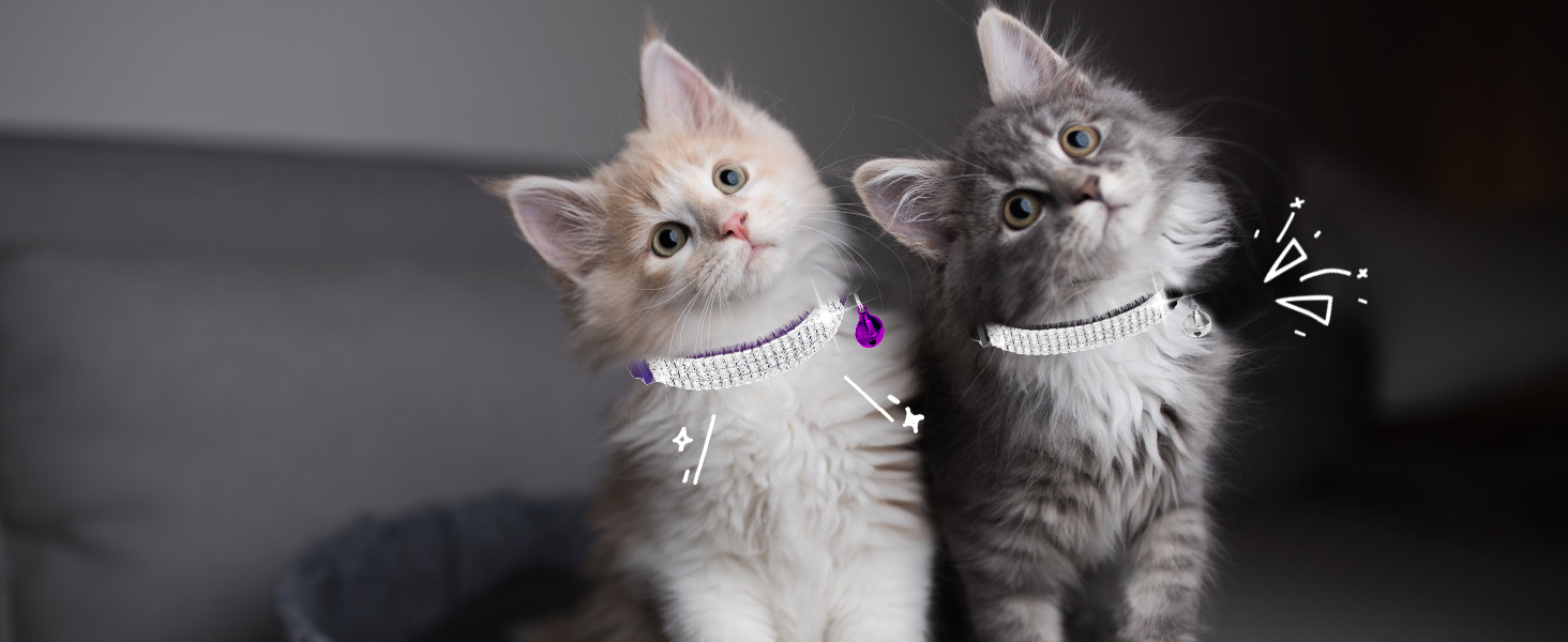 Нашийник для котів ExPawlorer з дзвіночком та стразами, м'який оксамит, безпечний, регульований, для котів та маленьких собак, 2 шт. (чорний та фіолетовий), 9'-12'