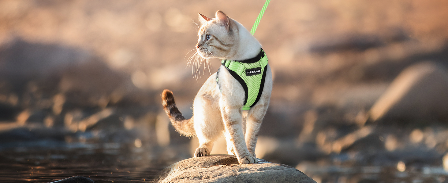 Шлейка для кота Rabbitgoo з повідком, м'яка, безпечна, регульована, зелена, розмір M (XXS, 1 шт.)