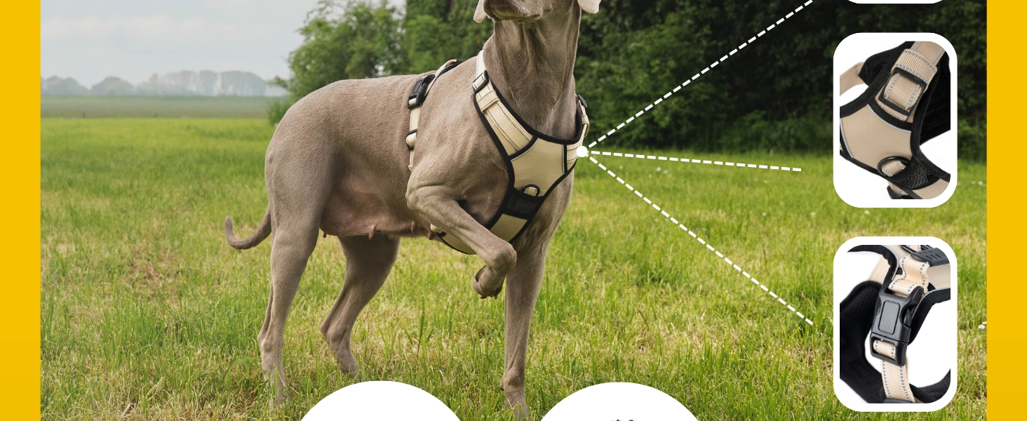 Нашийник для собак Lionto, розмір L, червоний, з м'якої нейлону, анти-тяга, з 2 кільцями та 4 регульованими ремінцями, з гумовою ручкою