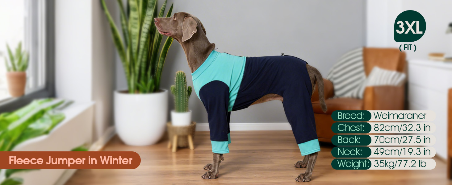 Теплий флісовий костюм для собак Kuoser, зимовий одяг для маленьких собак, зелений, розмір S