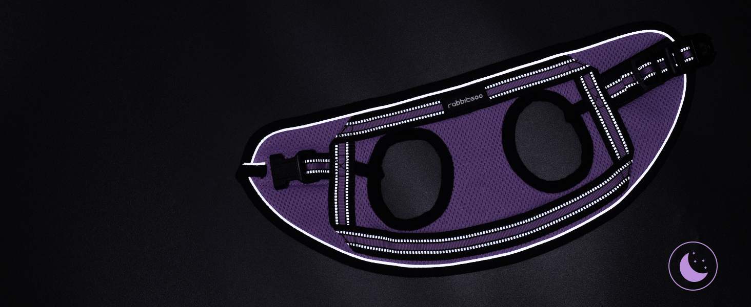 Нашийник та поводок для котів Rabbitgoo: безпечний, регульований, з відбиваючими смугами, для кошенят та дорослих котів, розмір M, світло-фіолетовий