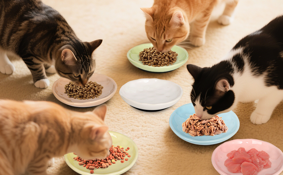 Набір керамічних мисок для котів 6er – годівниця та миска для їжі з неслизьким силіконовим дном | Плоскі, широкі миски для їжі | Непошкоджуючі для вій та придатні для миття в посудомийній машині